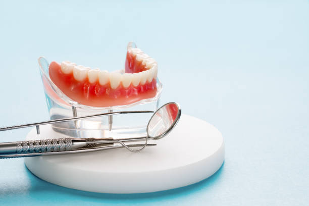 Why Choose Us for Your Dental Needs in Royal Palm Estates, FL